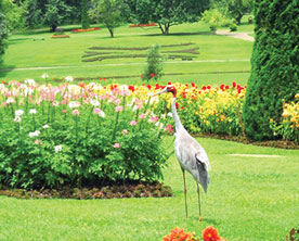 In-the-Lap-of-Nature