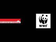 Interview with WWF Myanmar
